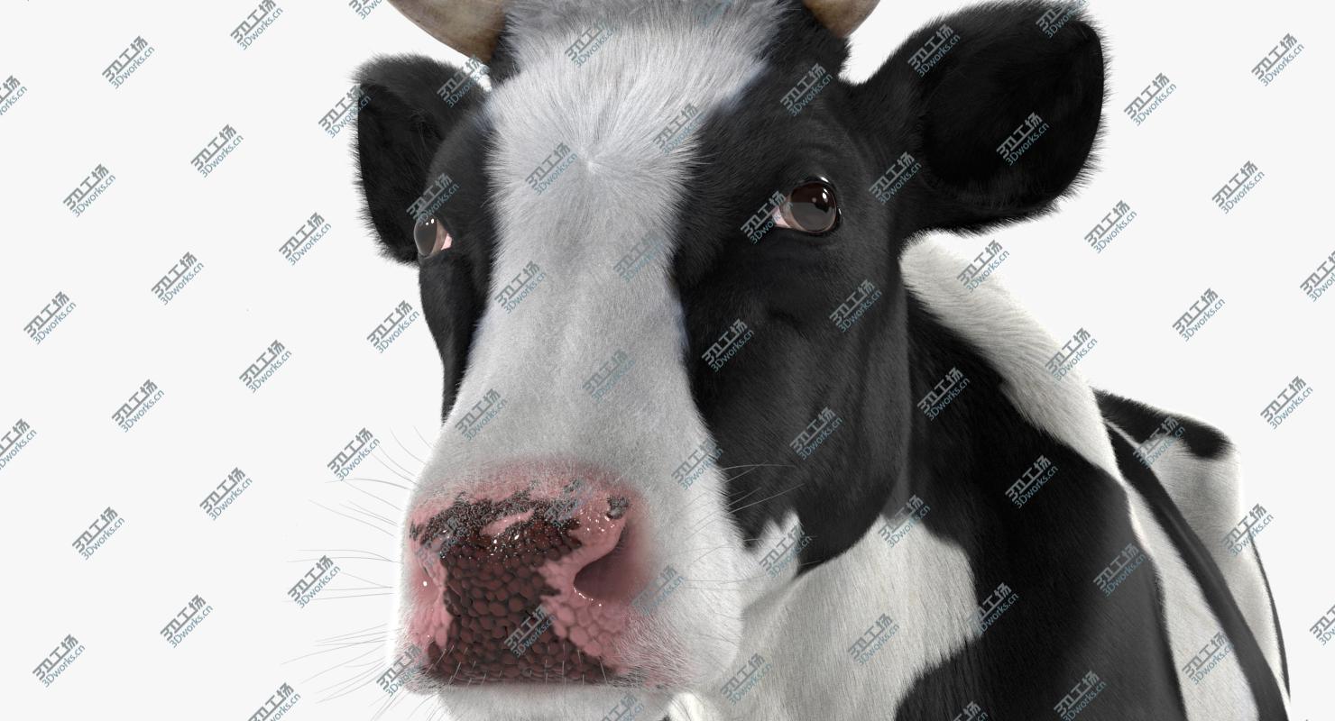 images/goods_img/202104091/Cow Realistic/5.jpg